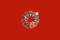 广安前锋回收红酒